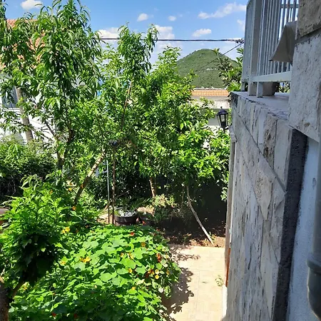 By The Sea Prozurska Luka - Mljet - 4939 아파트