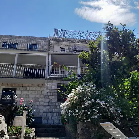 By The Sea Prozurska Luka - Mljet - 4939