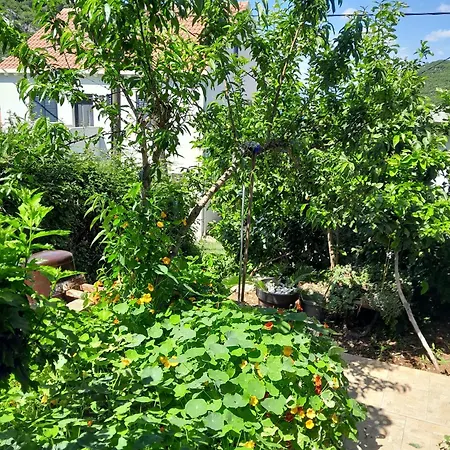 By The Sea Prozurska Luka - Mljet - 4939 شقة