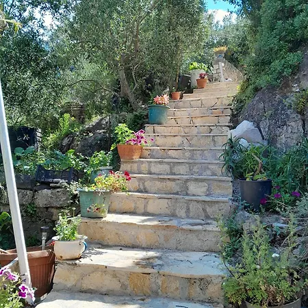 By The Sea Prozurska Luka - Mljet - 4939 Maranovići